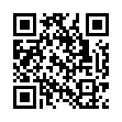 mGBA模拟器v0.10.4便携版-趣奇资源网-第11张图片