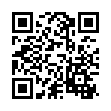 WizTree磁盘分析工具v4.30便携版-趣奇资源网-第11张图片