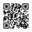 轻量BT下载qBittorrent v5.2.3.10增强便携版-趣奇资源网-第11张图片