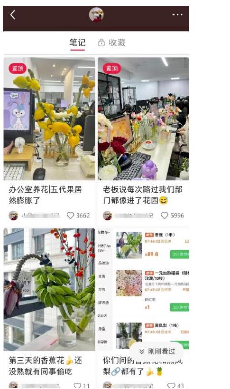 小红书导流快团团卖货实操案例 日引200+精准粉-趣奇资源网-第3张图片 小红书导流快团团卖货实操案例 日引200+精准粉-趣奇资源网-第3张图片