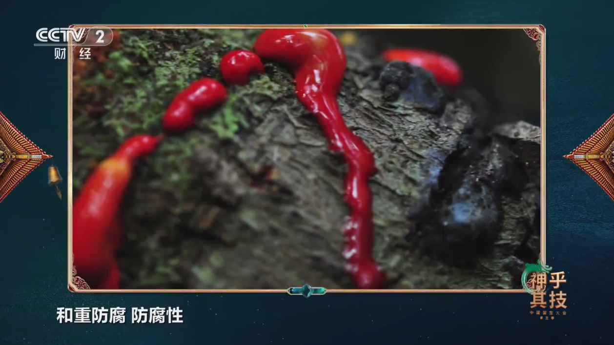 枫蜜直播v2.18.02 智能电视直播APP-趣奇资源网-第4张图片 枫蜜直播v2.18.02 智能电视直播APP-趣奇资源网-第4张图片