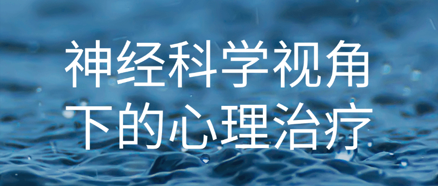 神经科学视角下的心理治疗-趣奇资源网-第3张图片 神经科学视角下的心理治疗-趣奇资源网-第3张图片